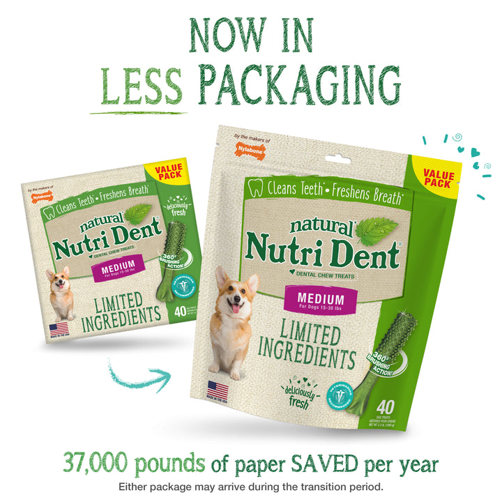 Nylabone Nutri Dent Fresh Breath Flavored Dental Dog Chew Treats Medium (40 Count)