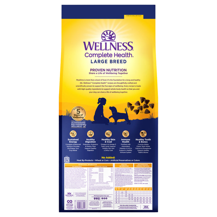 Wellness Complete Health Puppy Dry Dog Food, Large Breed, Wholesome Grains, Natural, Chicken, Brown Rice and Salmon Meal Recipe, (30-Pound Bag)