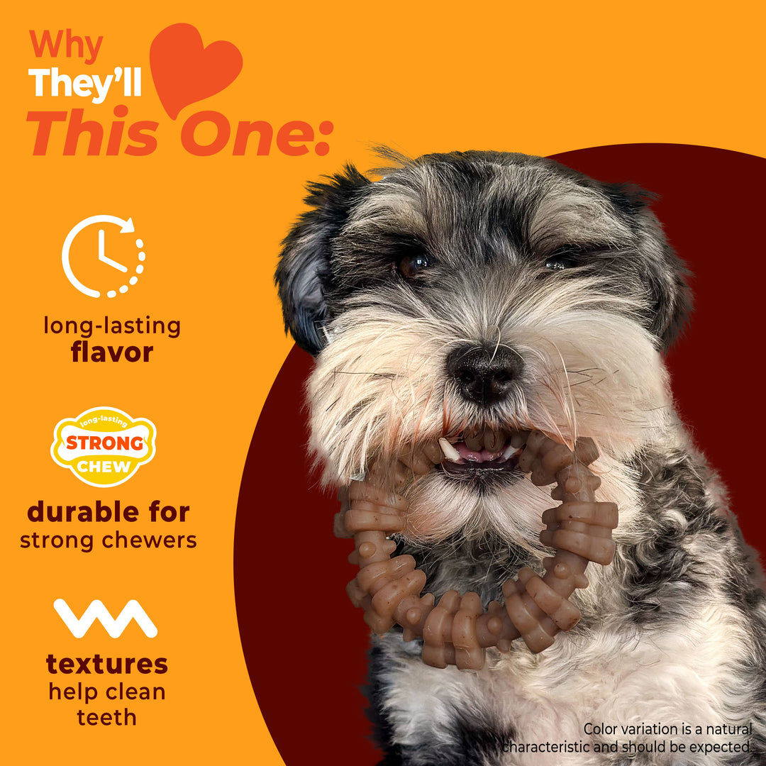 Nylabone Strong Chew Textured Ring Dog Chew Toy Made with Real Beef &amp; Chicken Small (1 Count)