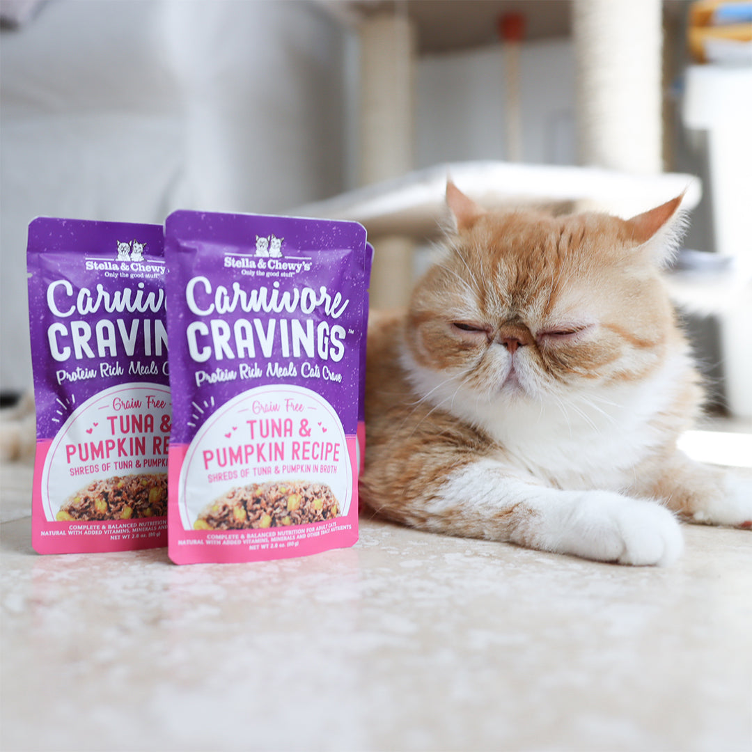 Carnivore Cravings Tuna &amp; Pumpkin - 2.8 oz