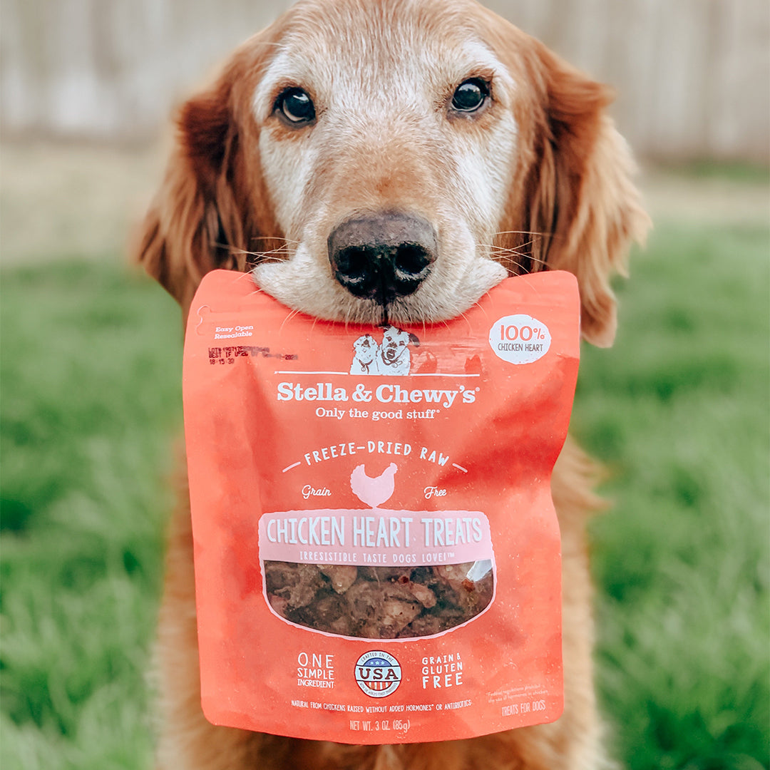 Single Ingredient Treats Chicken Heart - 3 oz