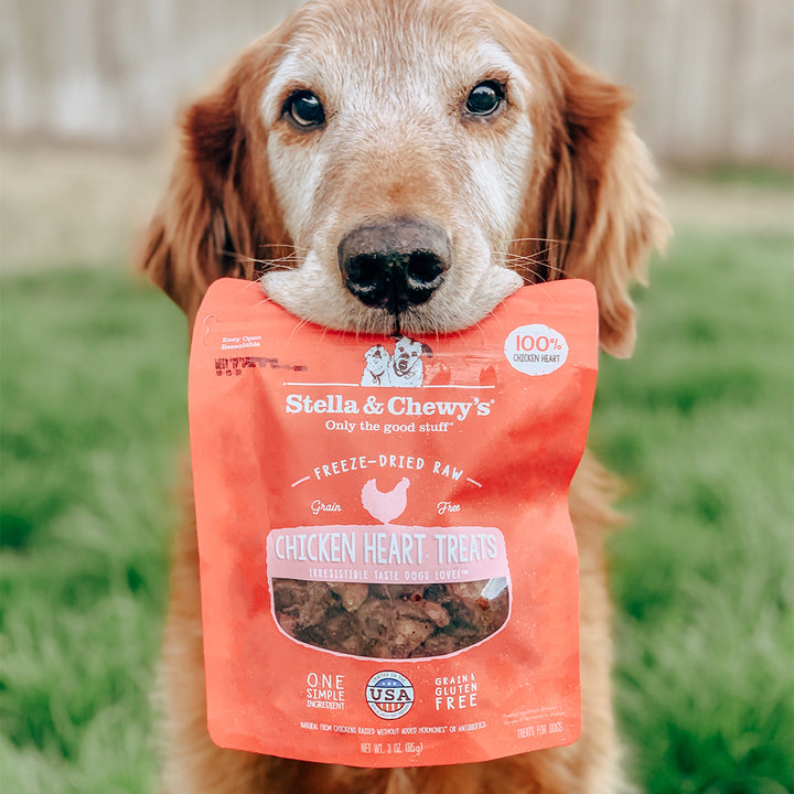 Single Ingredient Treats Chicken Heart - 3 oz