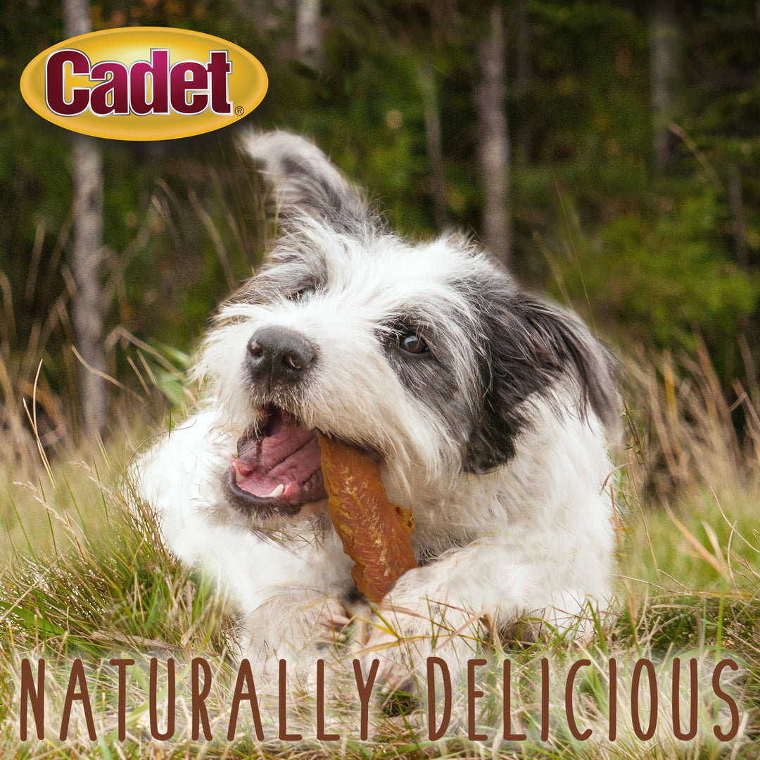 Cadet Gourmet Chicken Breast Dog Treats 28 Ounce