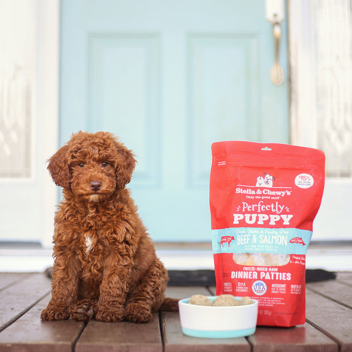 Freeze-Dried Perfectly Puppy Beef &amp; Salmon Patties - 14 oz