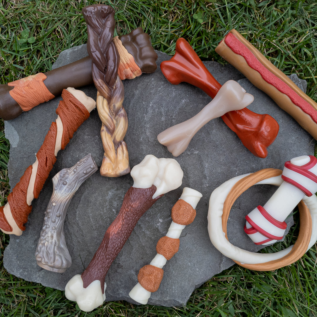 Nylabone Power Chew Shish Kabob Alternative Nylon Chew Toy Chicken Jerky Small/Regular - Up to 25 Ibs. (1 Count)