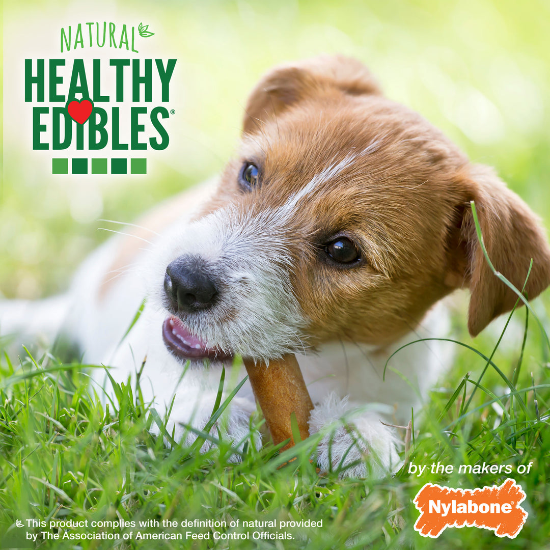 Nylabone Healthy Edibles All-Natural Long Lasting Chew Treats Bacon Small (12 Count)