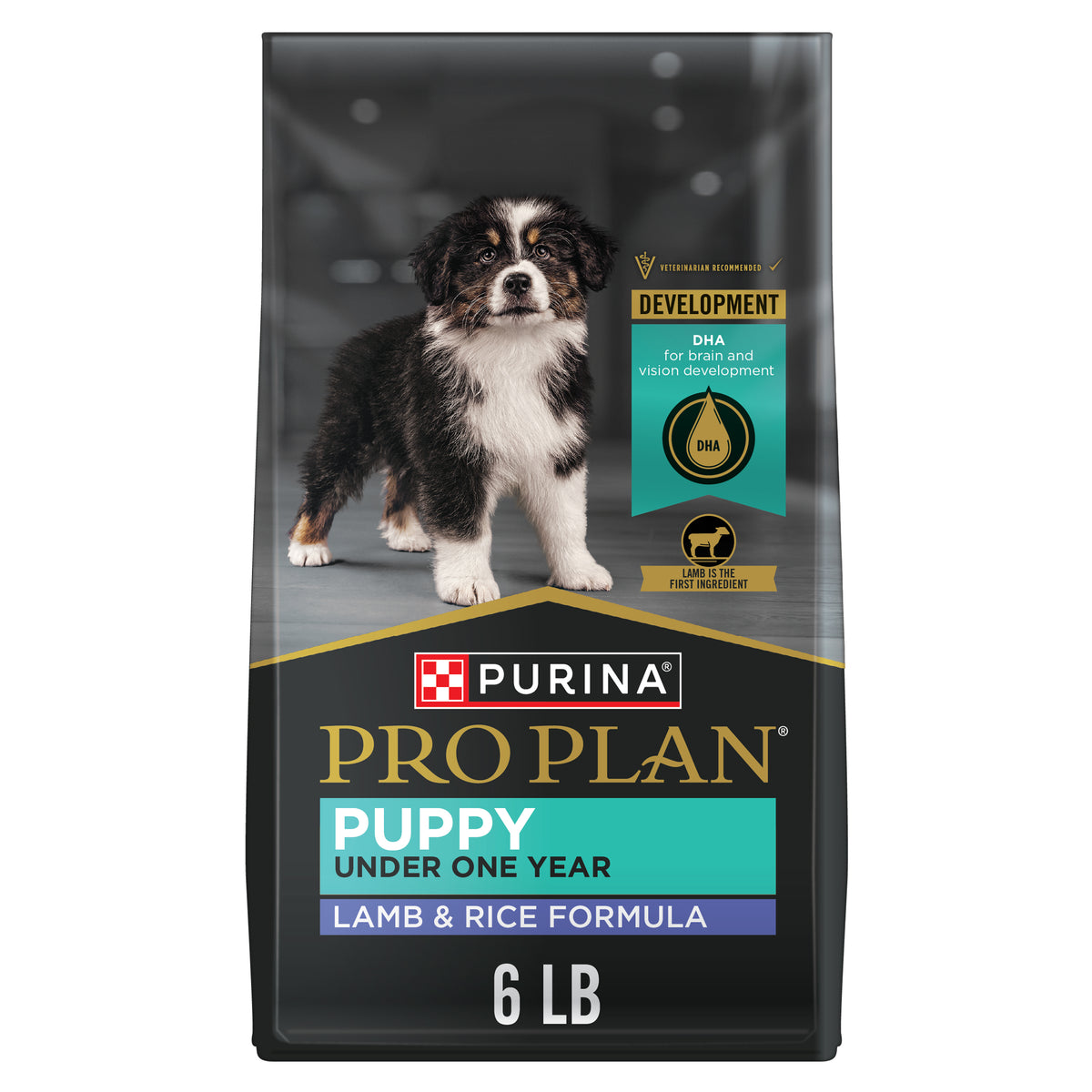 Pro Plan Puppy Lamb and Rice 6lb