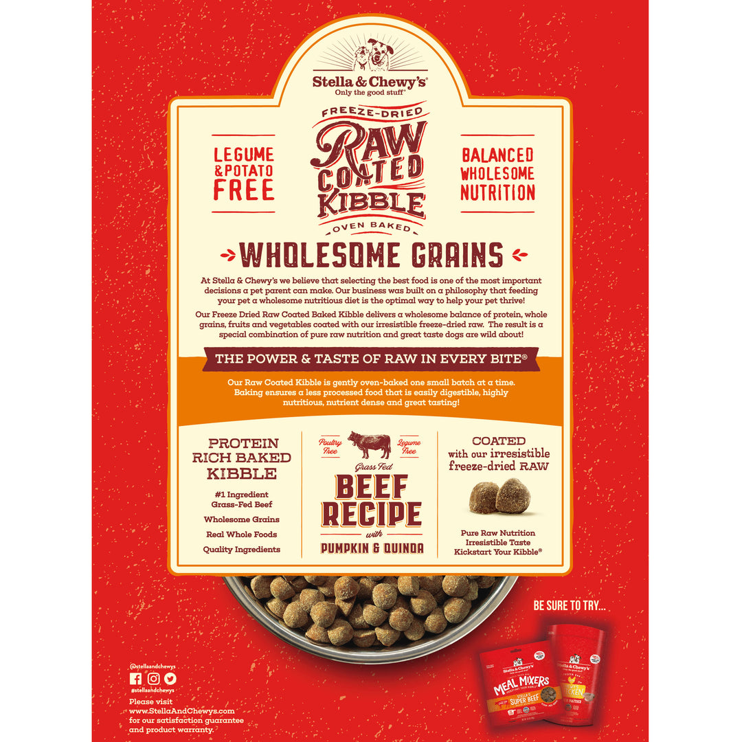 Kibble Raw Coated Wholesome Grain Beef  - 22 lb