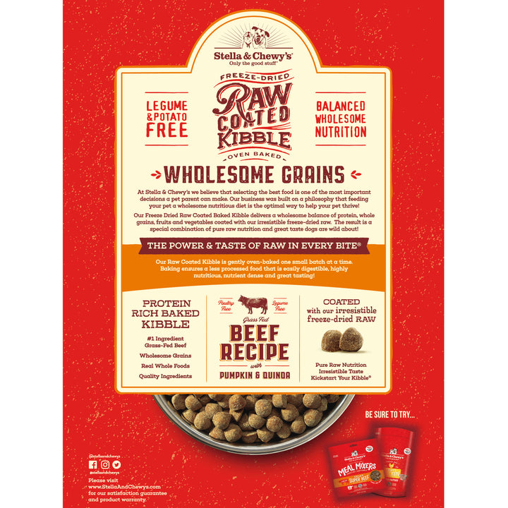 Kibble Raw Coated Wholesome Grain Beef  - 22 lb