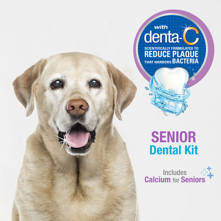 Nylabone Advanced Oral Care Senior Dog Dental Kit Bacon (3 Count)