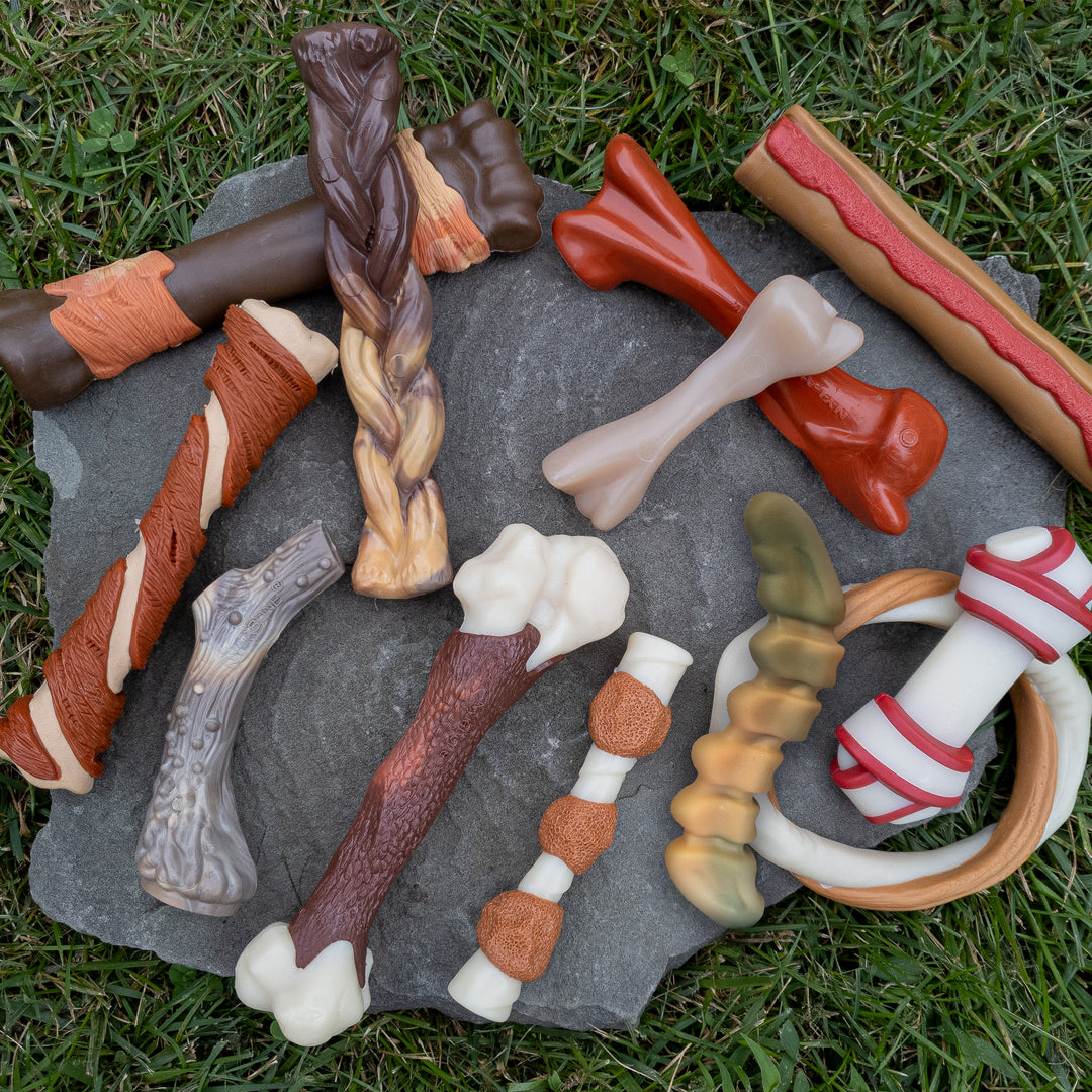 Nylabone Power Chew Gator Tail Alternative Dog Chew Toy Chicken Large (1 Count)
