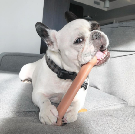 Nylabone Power Chew Original Bone Dog Chew Toy Bacon Large (1 Count)