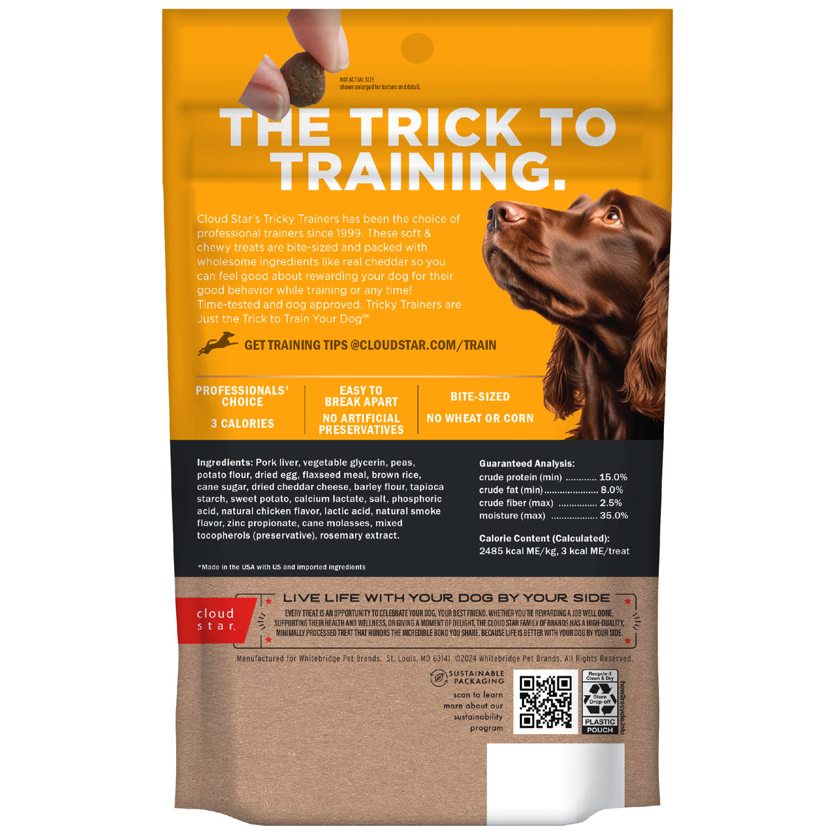 Cloud Star Chewy Cheddar Training Treats 5oz - back