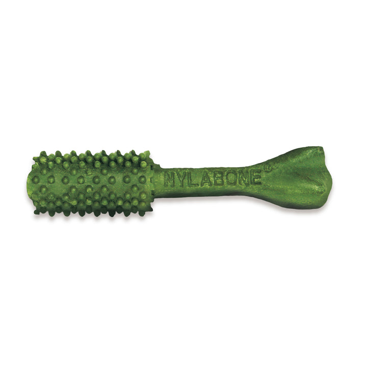 Nylabone Nutri Dent Fresh Breath Flavored Dental Dog Chew Treats Medium (40 Count)