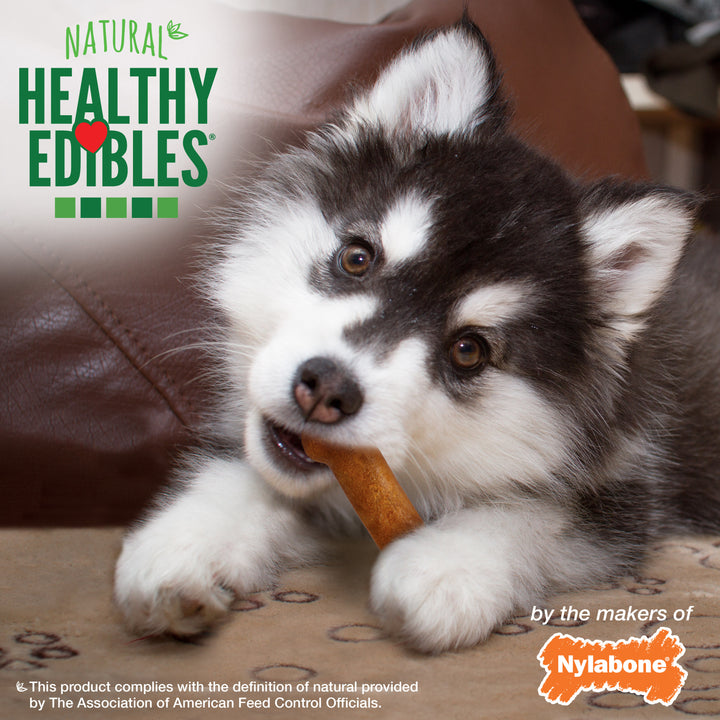 Nylabone Healthy Edibles All-Natural Long Lasting Puppy Chew Treats Turkey &amp; Sweet Potato X-Small (8 Count)