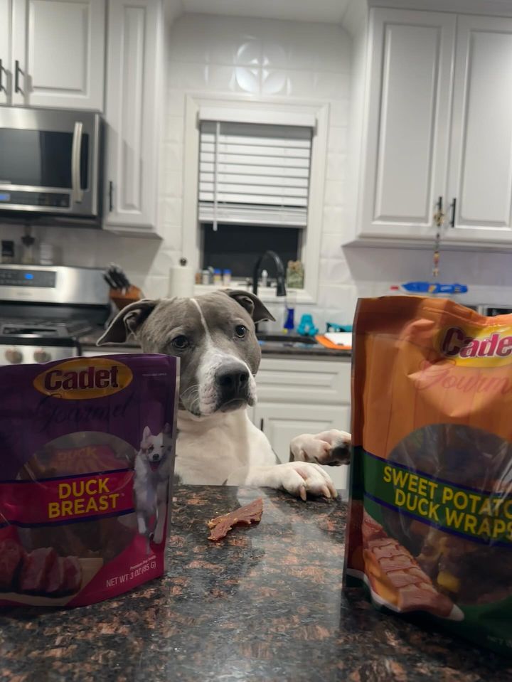 Cadet Gourmet Sweet Potato &amp; Duck Wrapped Dog Treats Duck &amp; Sweet Potato 28 Ounce