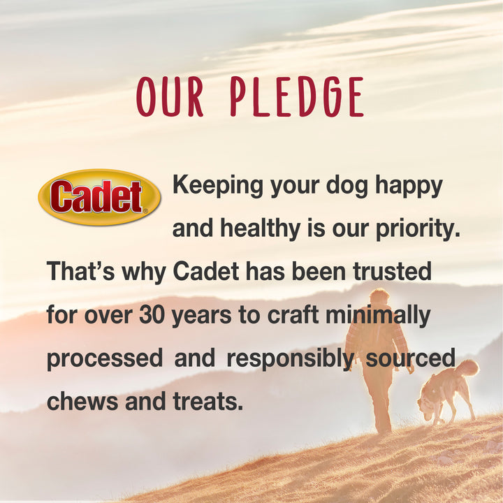 Cadet Gourmet Chicken &amp; Apple Wrapped Dog Treats 14 Ounce