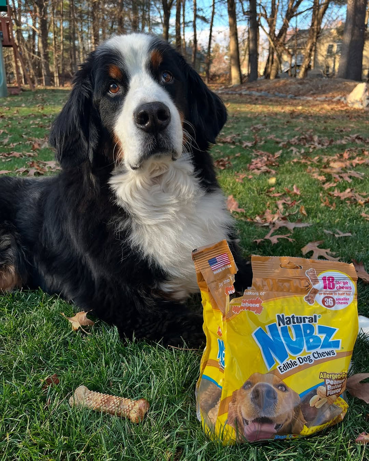 Nylabone Nubz Peanut Butter Dog Chew Treats Large (18 Count)