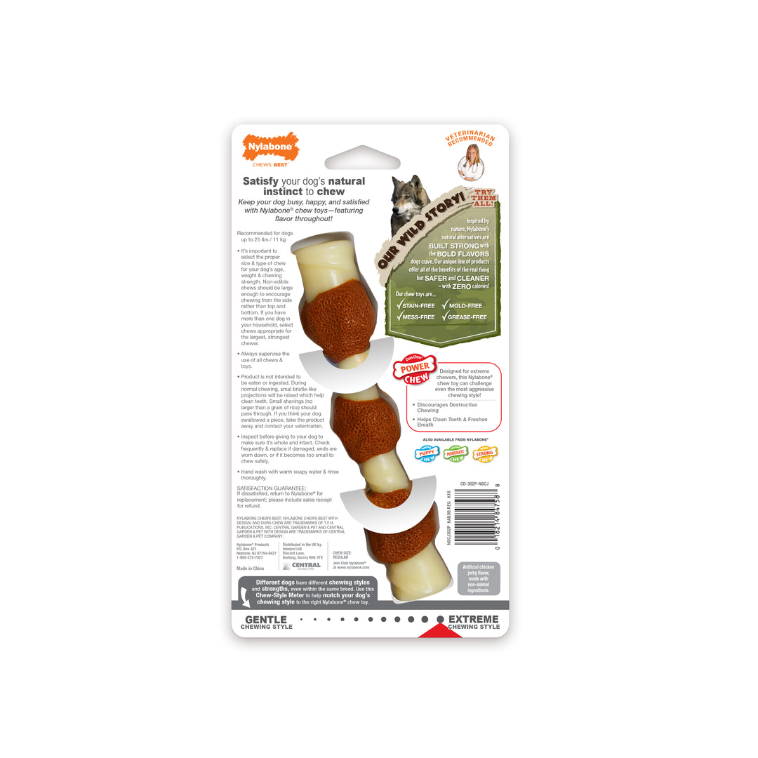 Nylabone Power Chew Shish Kabob Alternative Nylon Chew Toy Chicken Jerky Small/Regular - Up to 25 Ibs. (1 Count)