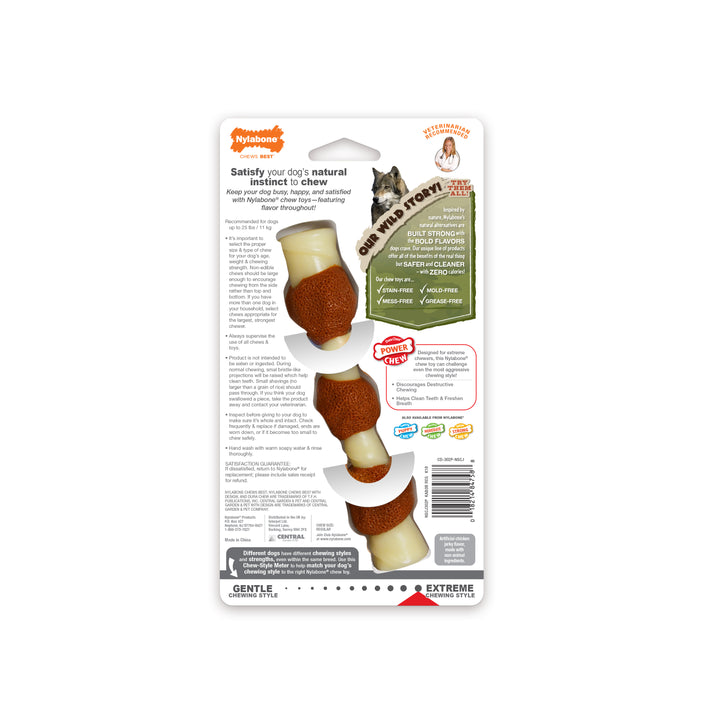 Nylabone Power Chew Shish Kabob Alternative Nylon Chew Toy Chicken Jerky Small/Regular - Up to 25 Ibs. (1 Count)