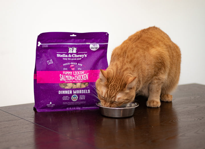 Freeze-Dried Yummy Lickin Salmon &amp; Chicken Morsels - 8 oz