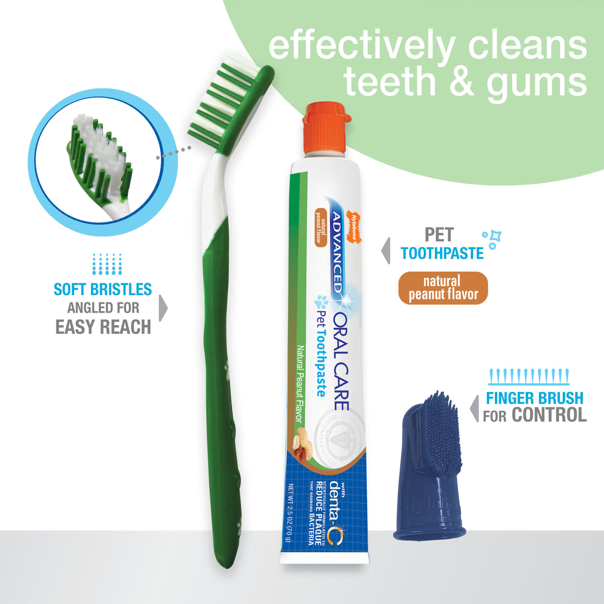Nylabone Advanced Oral Care Natural Dog Dental Kit Peanut Butter 2.5 Ounce (3 Count)