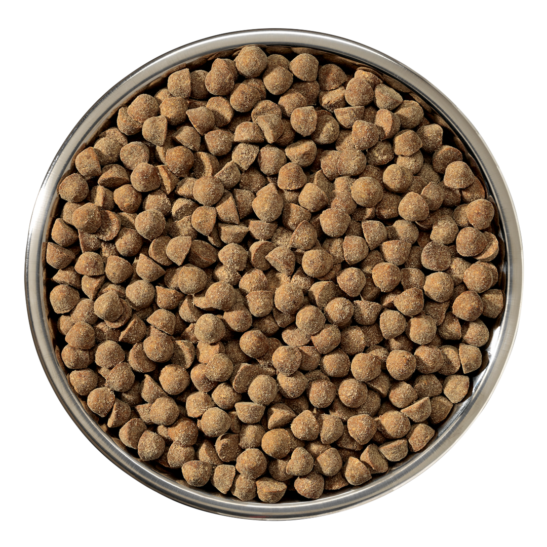 Kibble Raw Coated Wholesome Grains Puppy Chicken- 22 lb