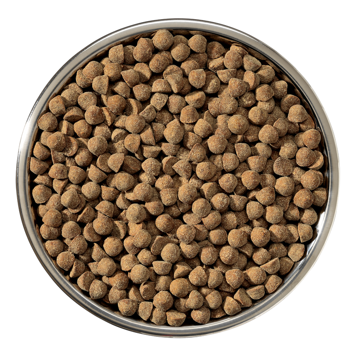 Kibble Raw Coated Wholesome Grains Puppy Chicken- 22 lb