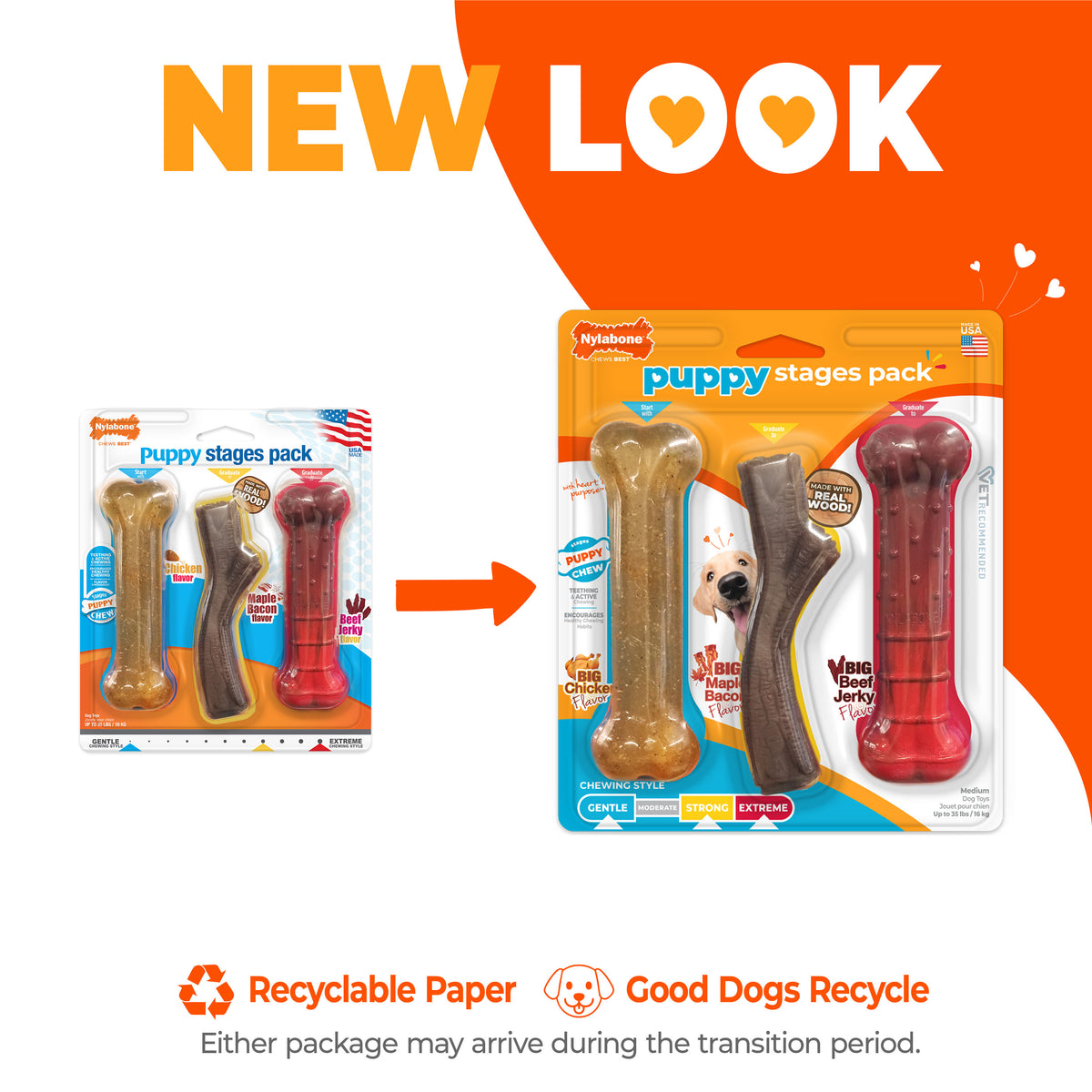 Nylabone Puppy Chew Stages Chew Toy Pack Chicken, Bacon, & Beef Jerky Medium (3 Count)