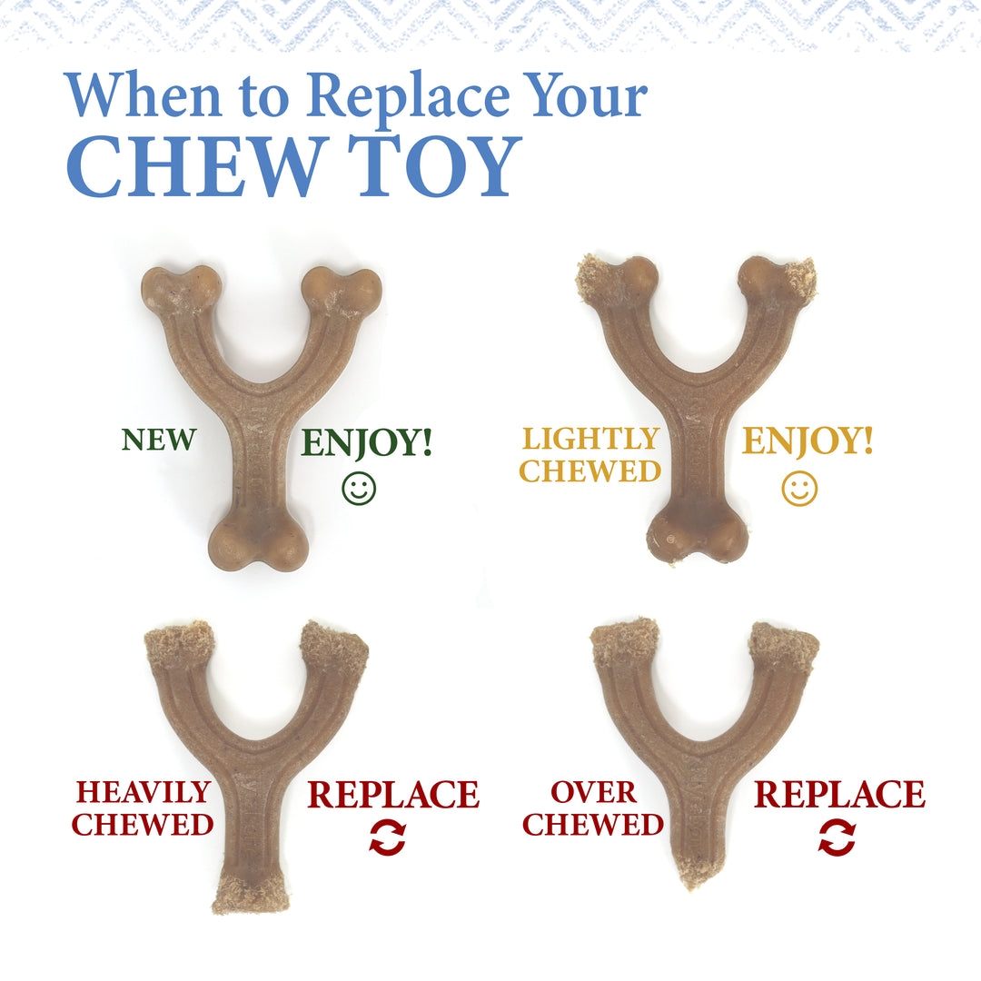 Nylabone Strong Chew Gourmet Style Wishbone &amp; Femur Bone Puppy Chew Toys Peanut Butter &amp; Bacon Small (2 Count)