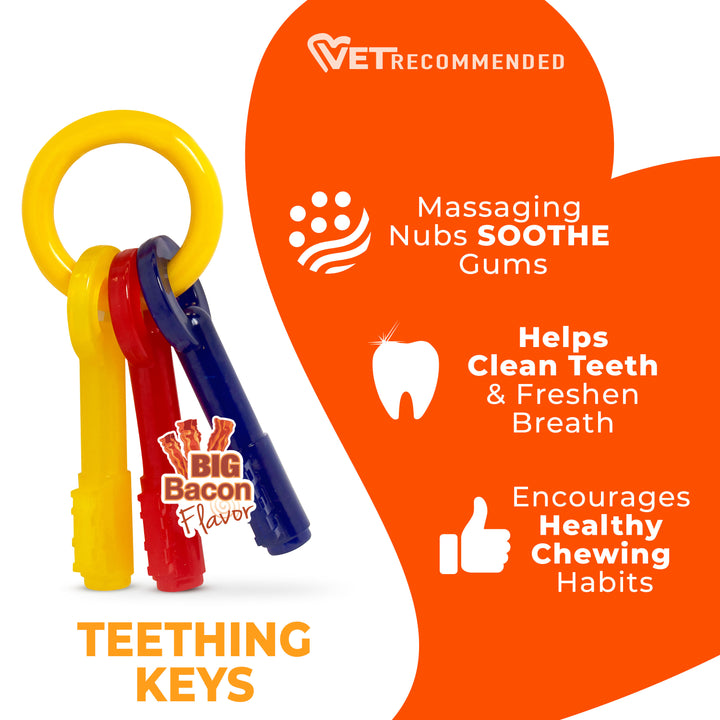Nylabone Puppy Chew Teething Keys Dog Chew Toy Bacon Medium (1 Count)