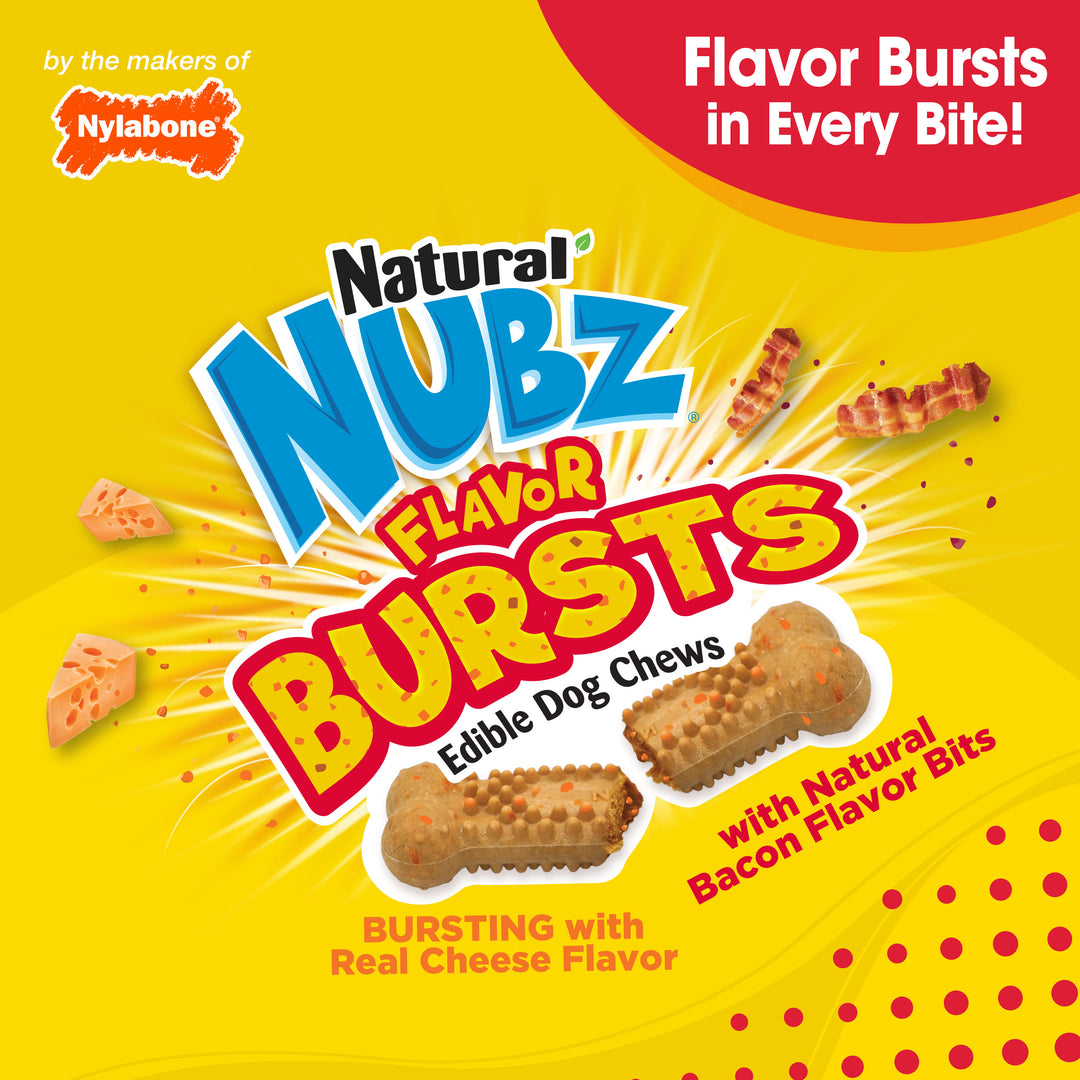 Nylabone Nubz Flavor Bursts Dog Chew Treats Bacon &amp; Cheese Large (7 Count)