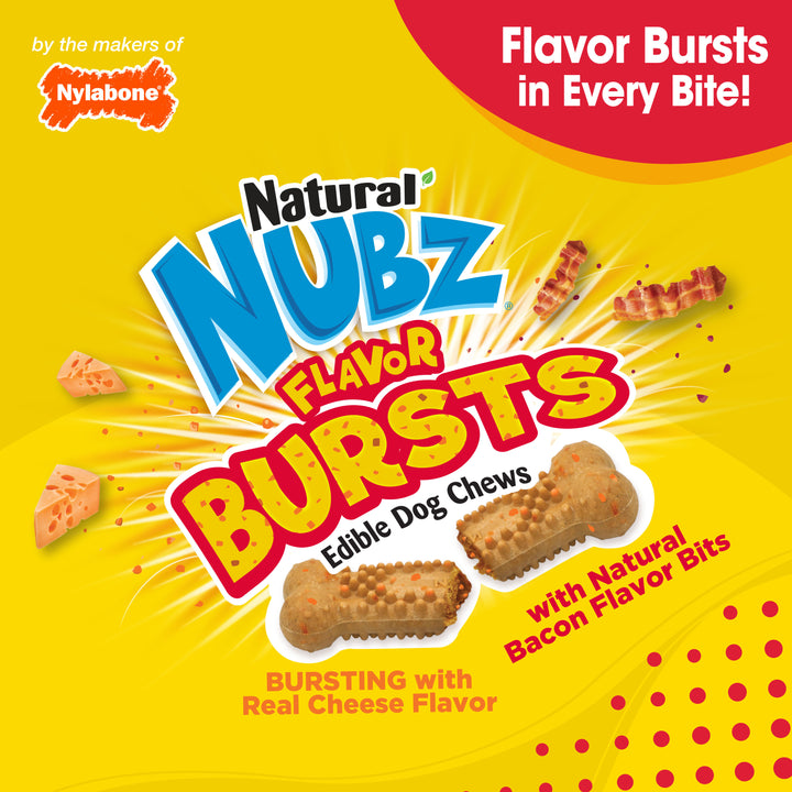 Nylabone Nubz Flavor Bursts Dog Chew Treats Bacon &amp; Cheese Large (7 Count)