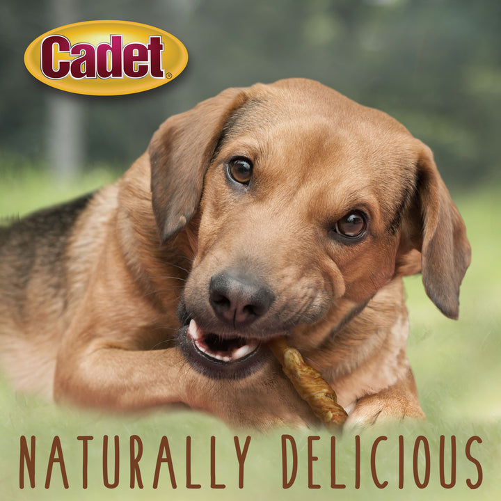 Cadet Gourmet Pork Hide &amp; Chicken Twist Sticks 5 Inch (22 Count)