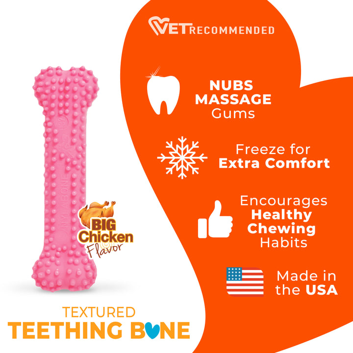 Nylabone Puppy Chew Textured Teething Bone Dog Chew Toy Chicken X-Small (1 Count)