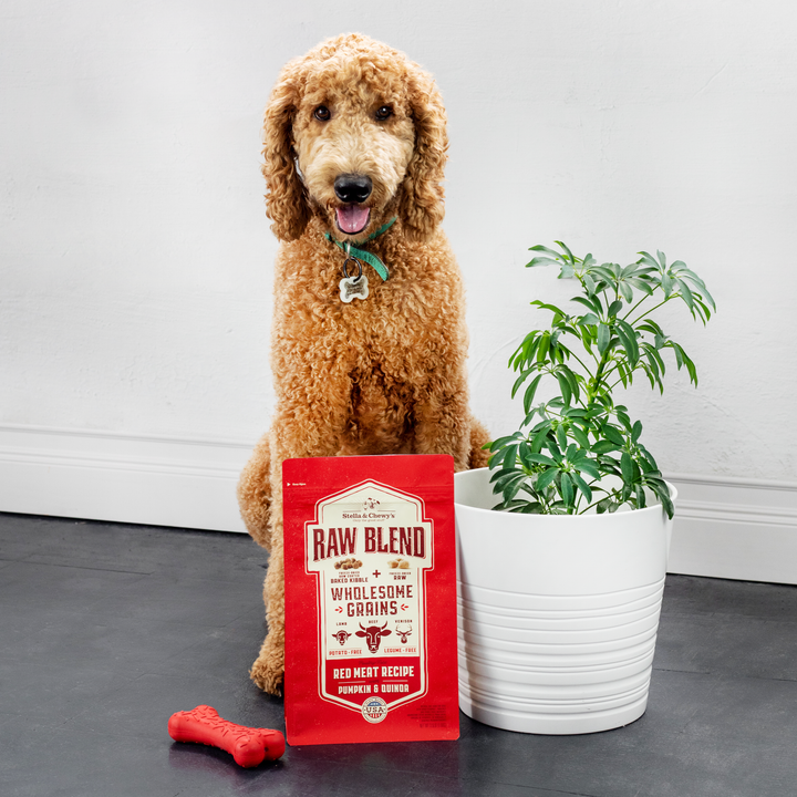 Kibble Raw Blend Wholesome Grains Kibble Red Meat - 3.5 lb