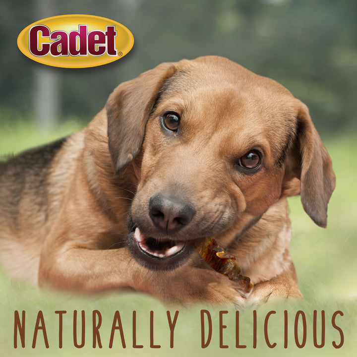 Cadet Gourmet Chicken-Wrapped Sweet Potato Dog Treats Chicken &amp; Sweet Potato 14 Ounce