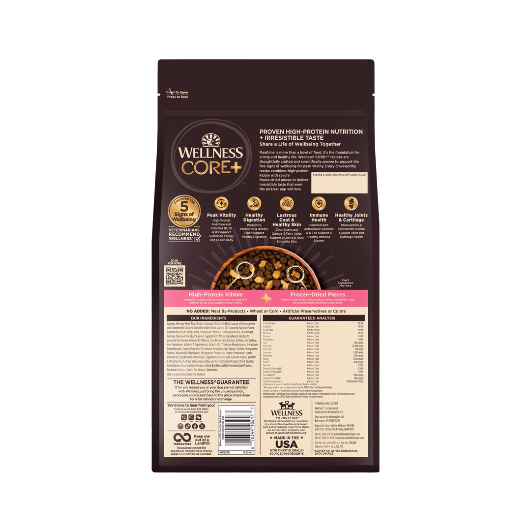 Wellness CORE+ Sensitive Skin &amp; Stomach Dry Dog Food with Freeze Dried Pieces, Wholesome Grains, High Protein, Natural, Salmon &amp; Rice Recipe, (4-Pound Bag)