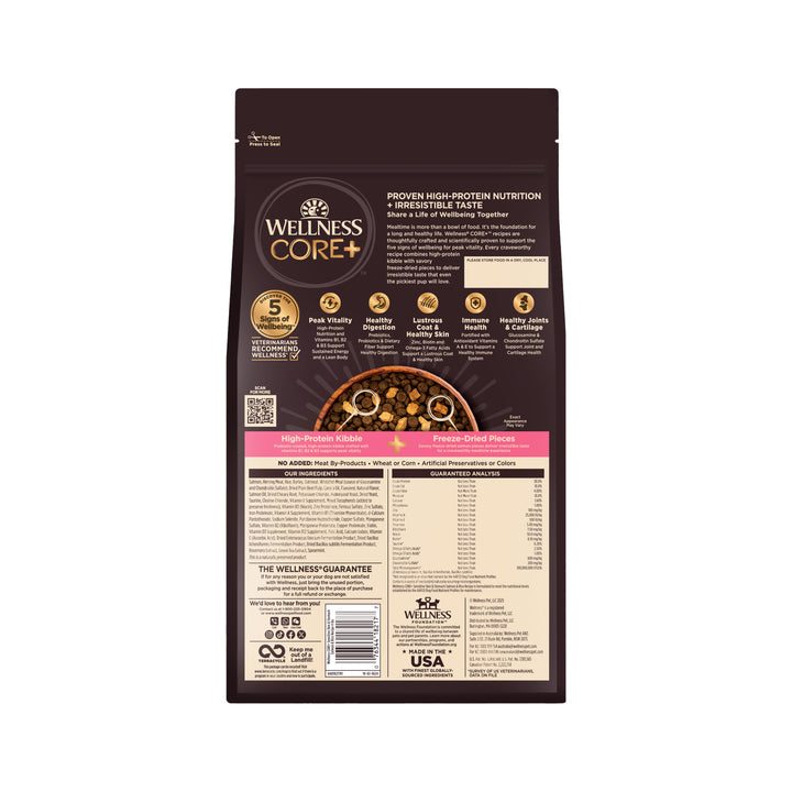 Wellness CORE+ Sensitive Skin &amp; Stomach Dry Dog Food with Freeze Dried Pieces, Wholesome Grains, High Protein, Natural, Salmon &amp; Rice Recipe, (4-Pound Bag)