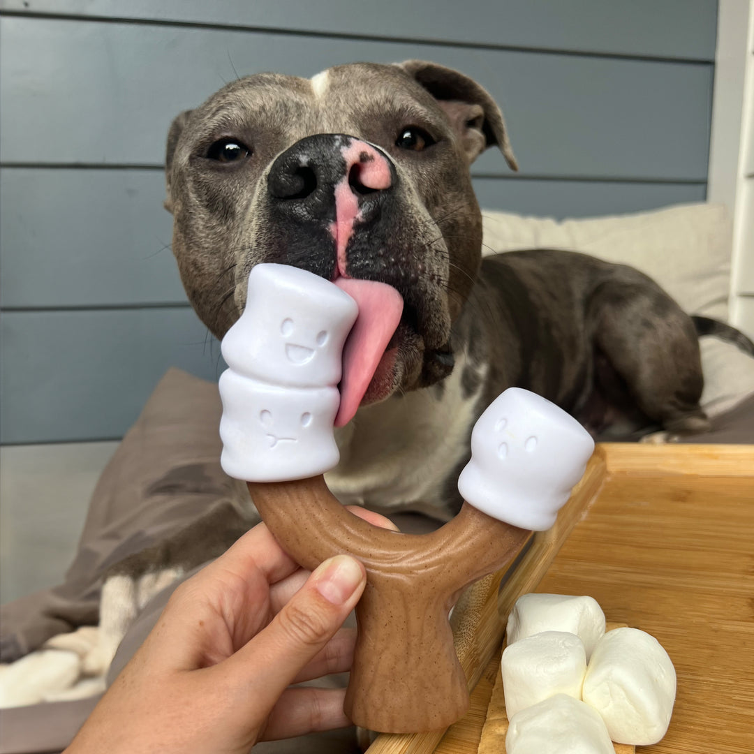 Nylabone Strong Chew Marshmallow Stick Dog Chew Toy Marshmallow &amp; Peanut Butter Large (1 Count)