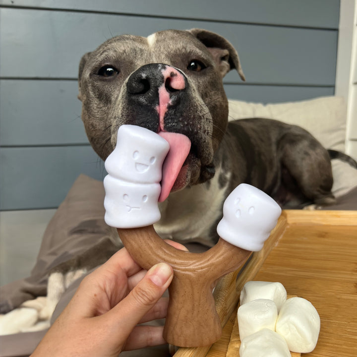 Nylabone Strong Chew Marshmallow Stick Dog Chew Toy Marshmallow &amp; Peanut Butter Large (1 Count)